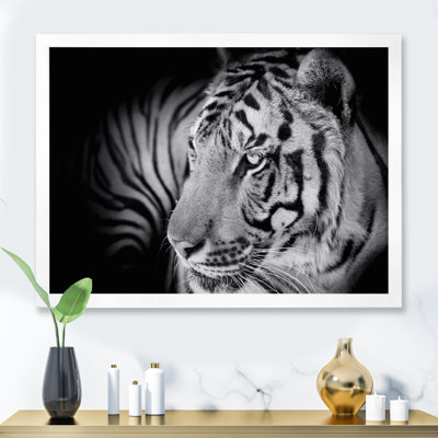 " Monochrome Portrait Of A White Tiger VII " Painting Print