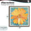 Cadre urbain Urban Daisy sur graffiti, design par Porter Hastings-306086834-306086830