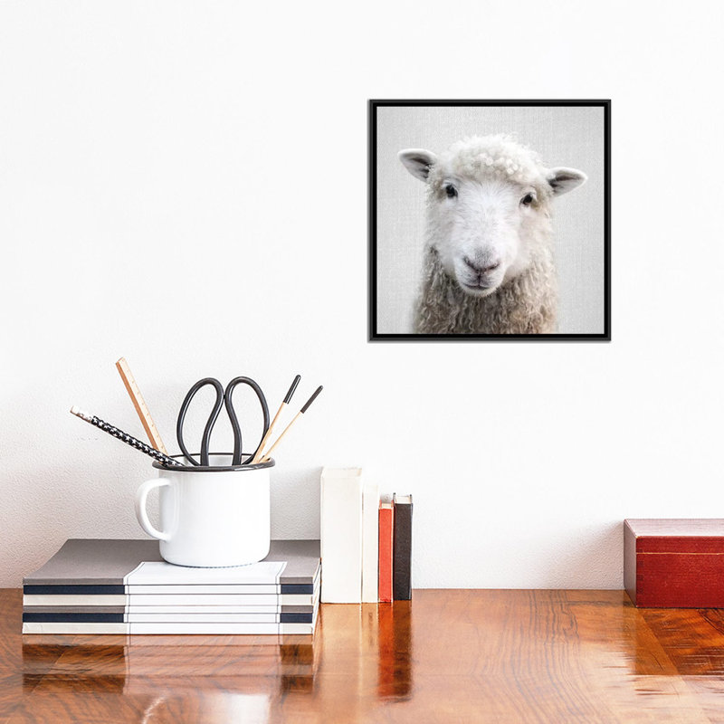 «Sheep» - reproduction de photo, H 12 po x l 12 po x P 1,5 po, Toile avec cadre noir