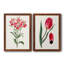 Roseat Blooms I - ensemble de 2 peintures encadrées-2117310012-2117151359-2117151347