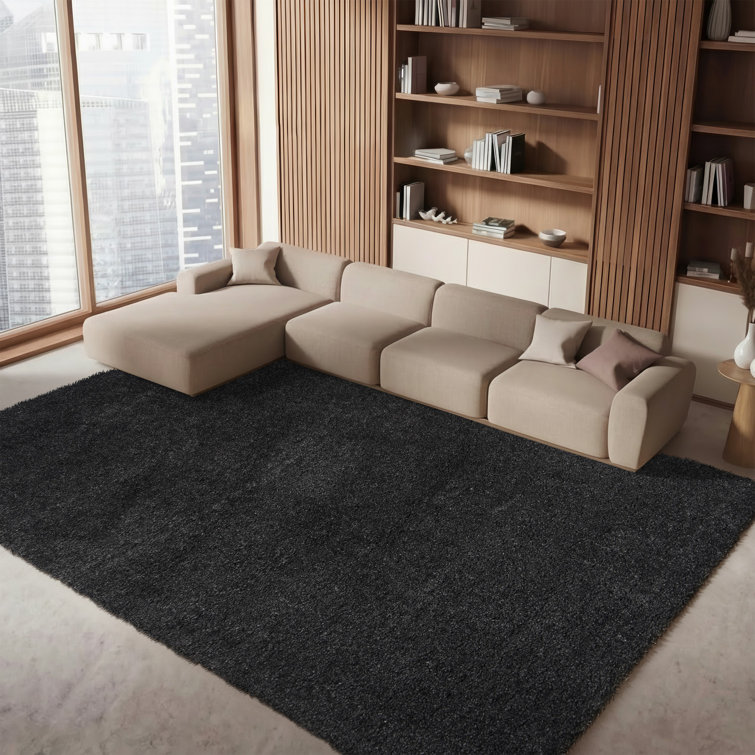 Jiang Charcoal Area Rug