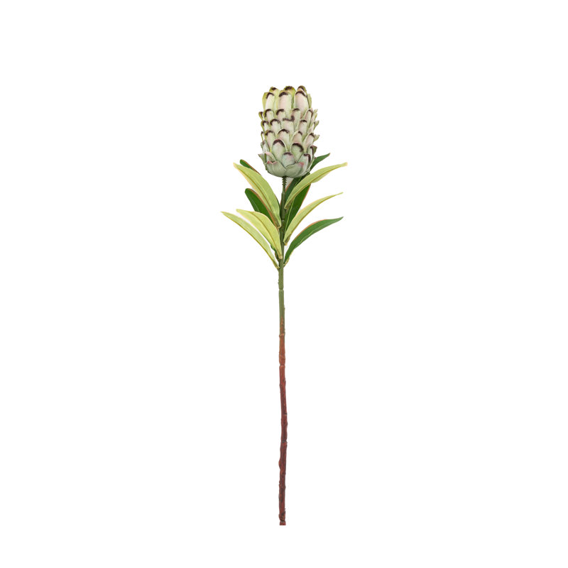 Arrangement