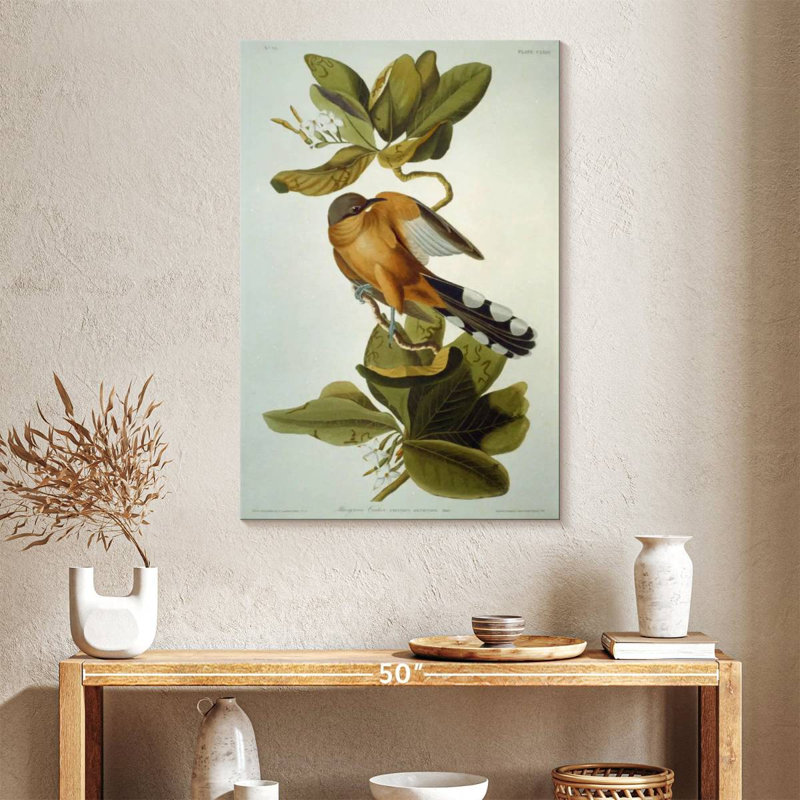 Brampt Mangrove Cuckoo, 39" H x 26" W