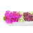 Adelina Orchid and Succulent Arrangement-1713855388