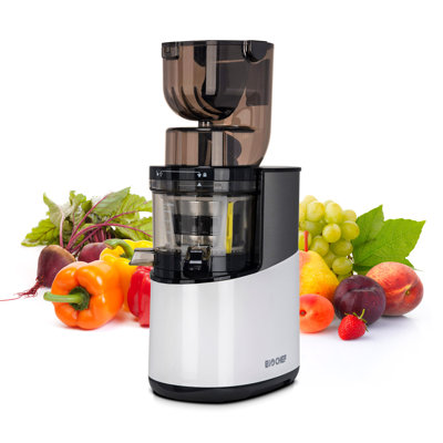 BioChef 400 W Continuous Pulp Ejection and Food Pusher Speed Electric Slow Masticating & Cold Press Juicer Accessory
