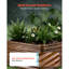Raised Garden Bed