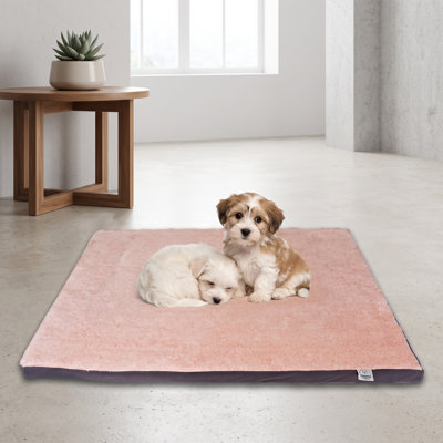 DreamLounge Pink Comfort Pillow Dog Bed