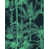 Anthracite/Green selected
