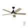 Melva 52'' Ceiling Fan with LED Lights