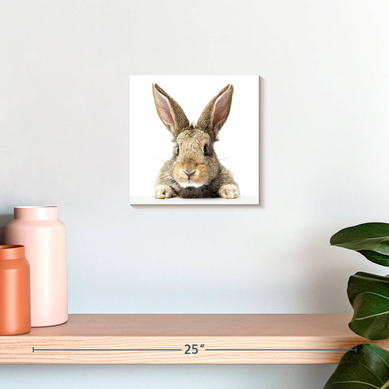 Crowle Fluffy Easter Rabbit, 10" H x 10" W