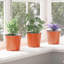 Nursery Pot-178463901-178463971