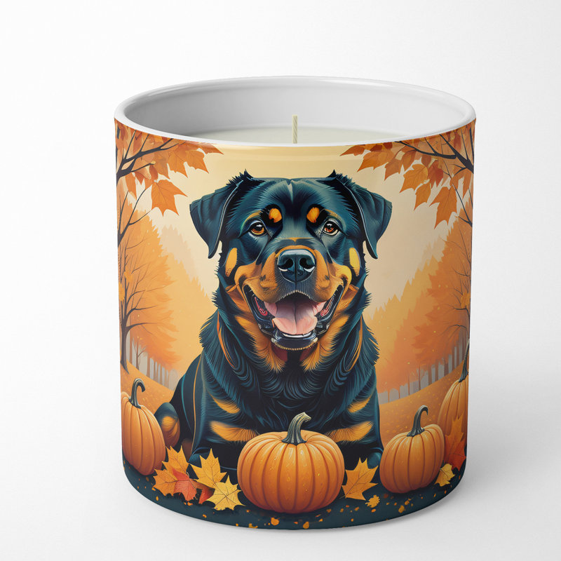 Bougie parfumée Pumpkin Spice avec support en céramique