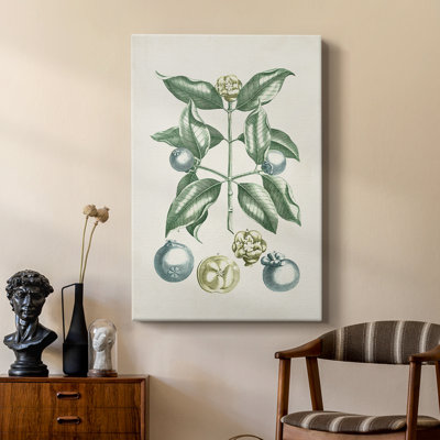 Buchoz Tropicals VII - galerie sur mesure Cavas