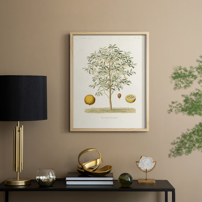 Arbre antique avec fruit IV, reproduction encadrée - bois massif, Naturel, H 15 po x l 12 po