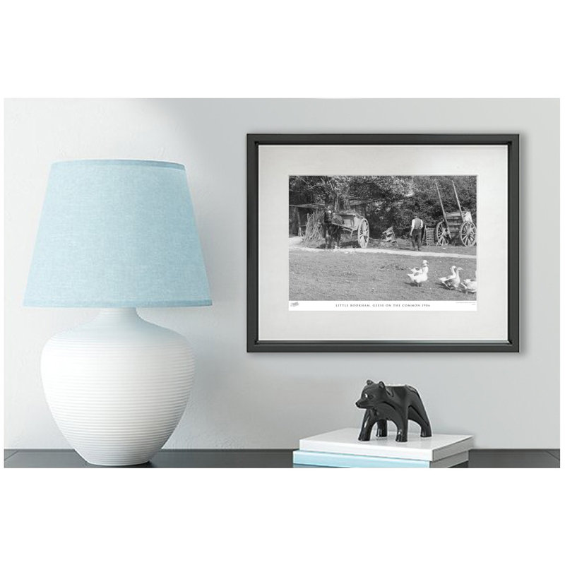 Little Bookham, Geese On The Common 1906 by Francis Frith - Single Picture Frame Print, 60cm H x 80cm W x 2.3cm D