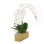Real Touch White Phalenophsis Orchids Flower Arrangement in Planter