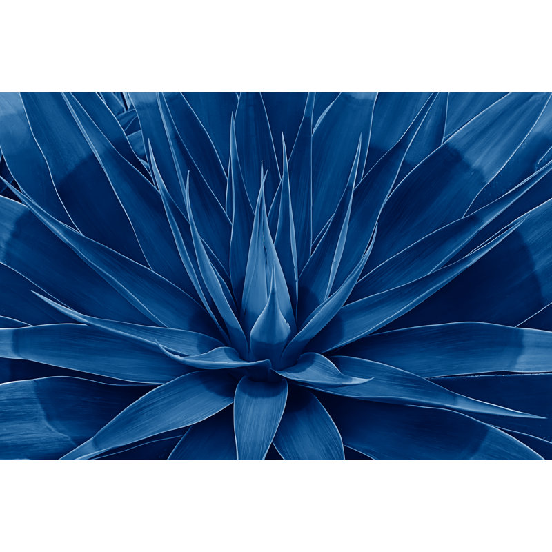Bloomed Lotus Flower 1 Piece Wrapped Canvas Wall Art, 20cm H x 30cm W