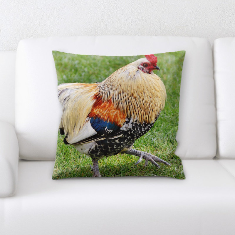 Coussin hahn