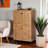 Potter 4-Door Shoe Storage Cabinet in Oak Brown Finish, 48'' H X 29.86'' W X 12.99'' D
