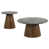 2 Pieces: Coffee Table, End Table sélectionné