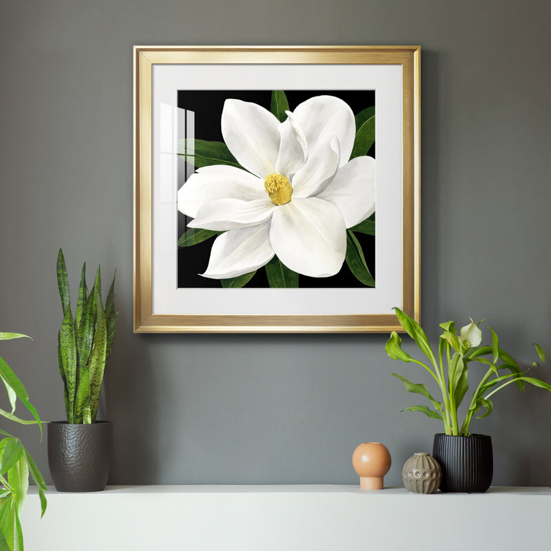 «Midnight Magnolia II», reproduction encadrée de qualité supérieure - prête à être accrochée, Papier avec cadre doré, Blanc