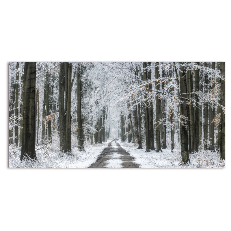Forêt d'hiver - Photographie sur toile, H 8 po x l 12 po x P 1 po, Toile tendue
