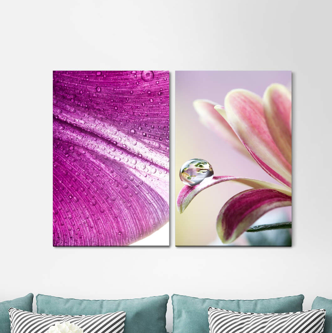 2-tlg. Leinwandbilder-Set - Fotografie „Orchid Flowers Flowers Summer Soft Water Pearls”