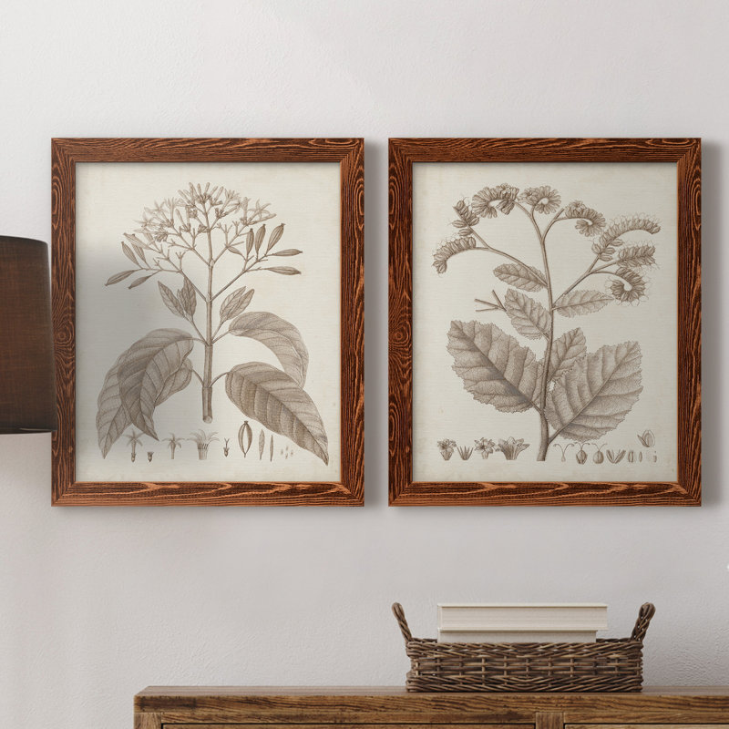 Antique sépia botanicals II, toile encadrée de qualité supérieure - prête à être accrochée, H 24 po x l 36 po x P 1,5 po