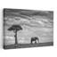 Éléphant d'Afrique, solitude dramatique, paisible, serein, éléphant, paysage, nature, art mural-1476023836