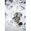 Tim Figurine-294044000