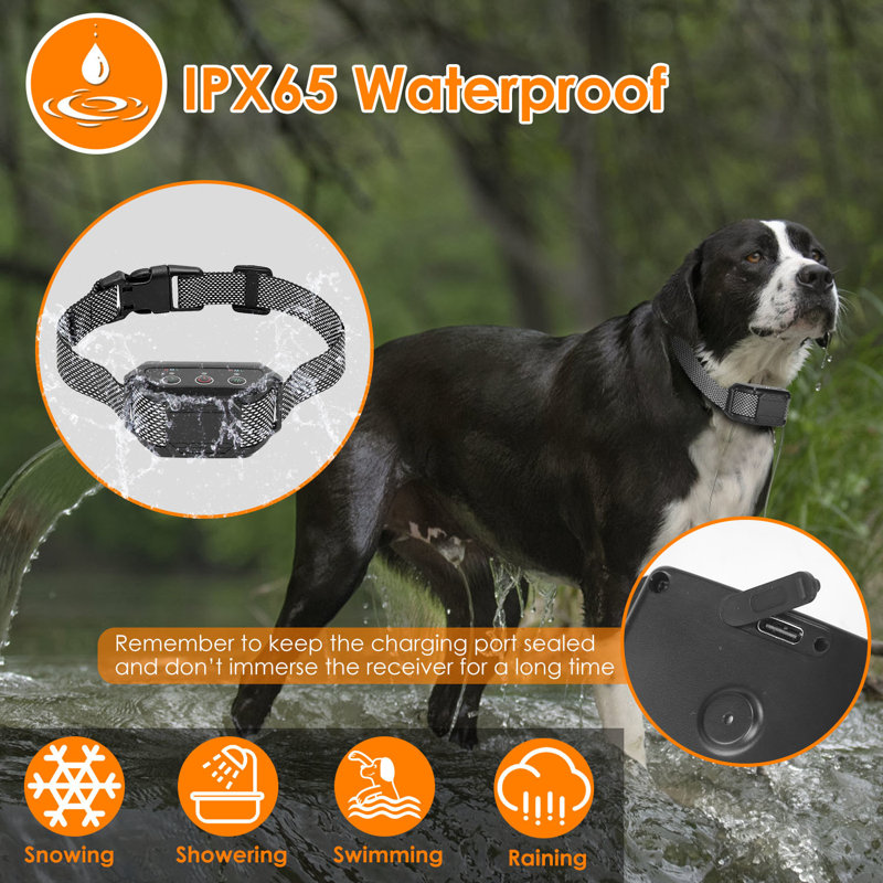 Citronella Dog Bark Collar