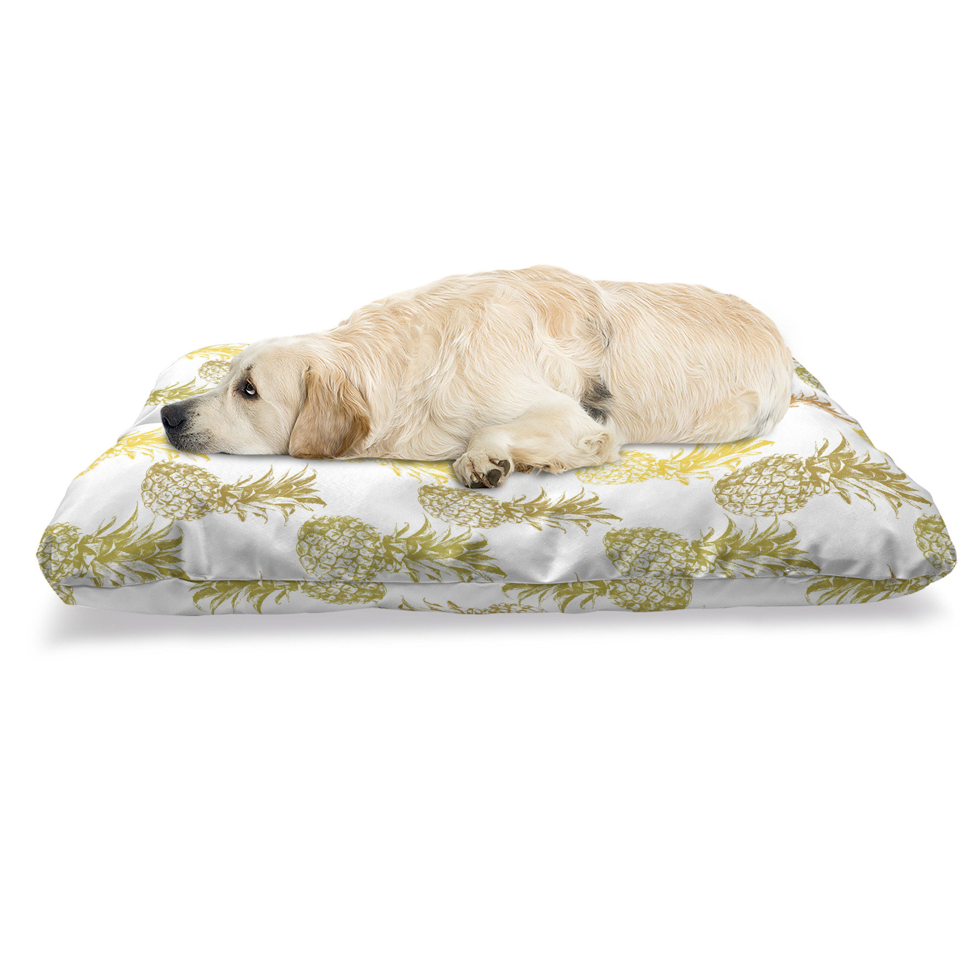 Pineapple bed best sale for dogs