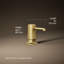 Graze Soap/Lotion Dispenser-1334957542