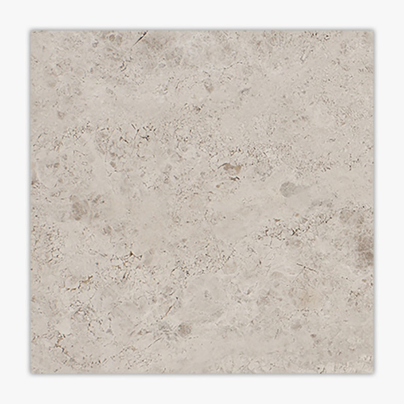 Galaxy Silver Polished 12x12 Limestone Tile
