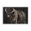 «Burly Bison» par Cindy Jacobs, reproduction d'art-345430831-345430835-345430836