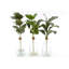 Calvo Glass Table Vase