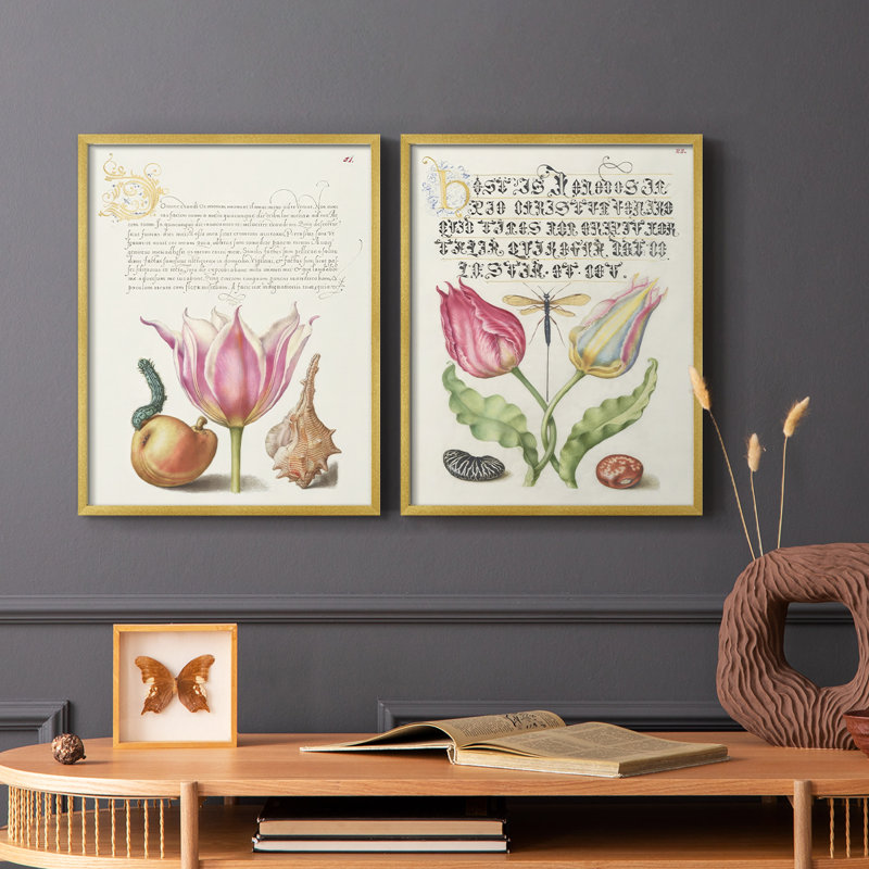 Reproduction encadrée Hoefnagel Tropical Specples IV-Premium - prête à être accrochée - aucun clou requis - aucun clou requis