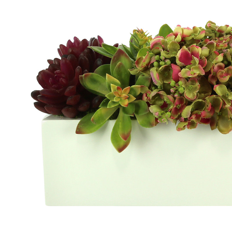 Hydrangea, Sedum And Succulents In Planter
