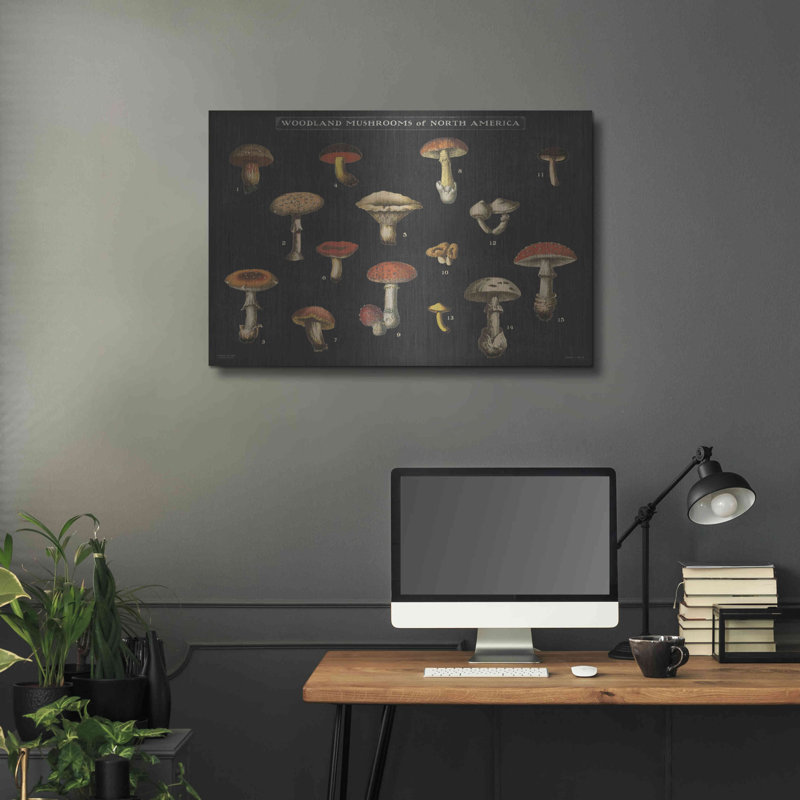 «Mushroom charte I» par Wild Apple Po, H 24 po x l 36 po