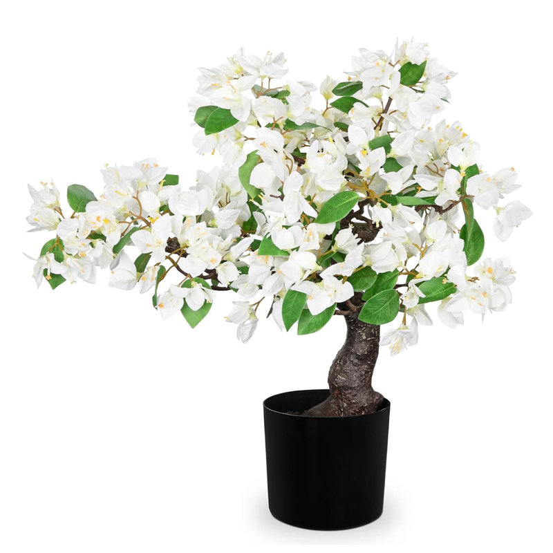 52.83cm Plant