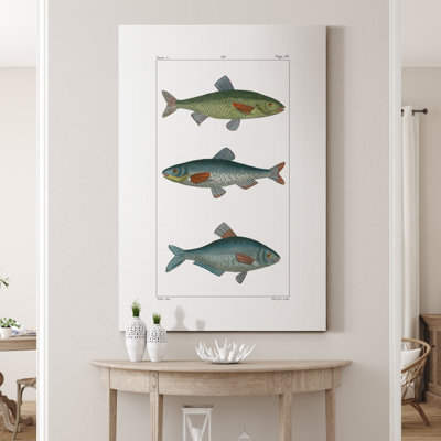 " Freshwater Fish III "