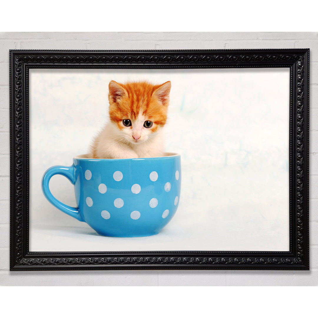 Teetasse Kätzchen Katze - Einzelner Bilderrahmen Kunstdrucke