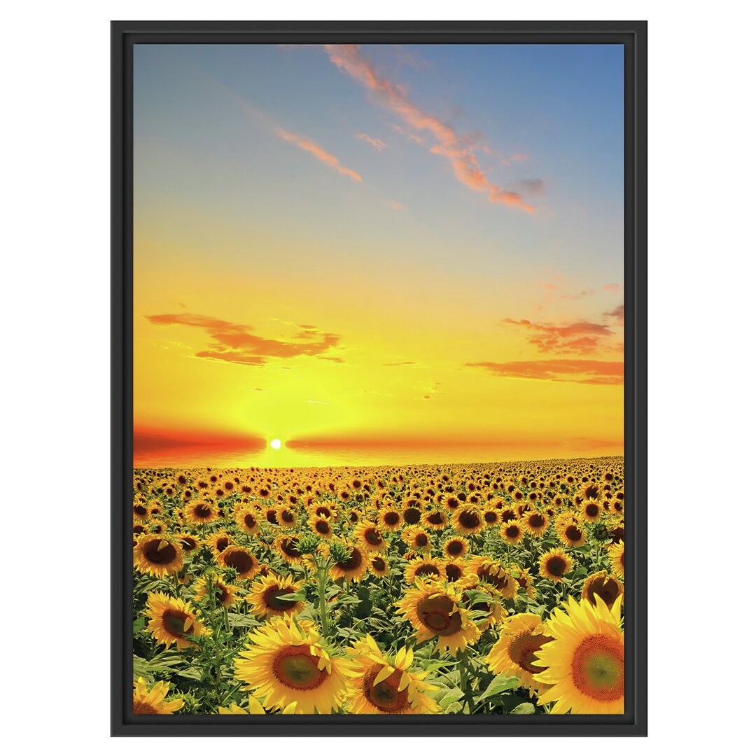 Gerahmtes Wandbild Sonnenuntergang Sonnenblumen