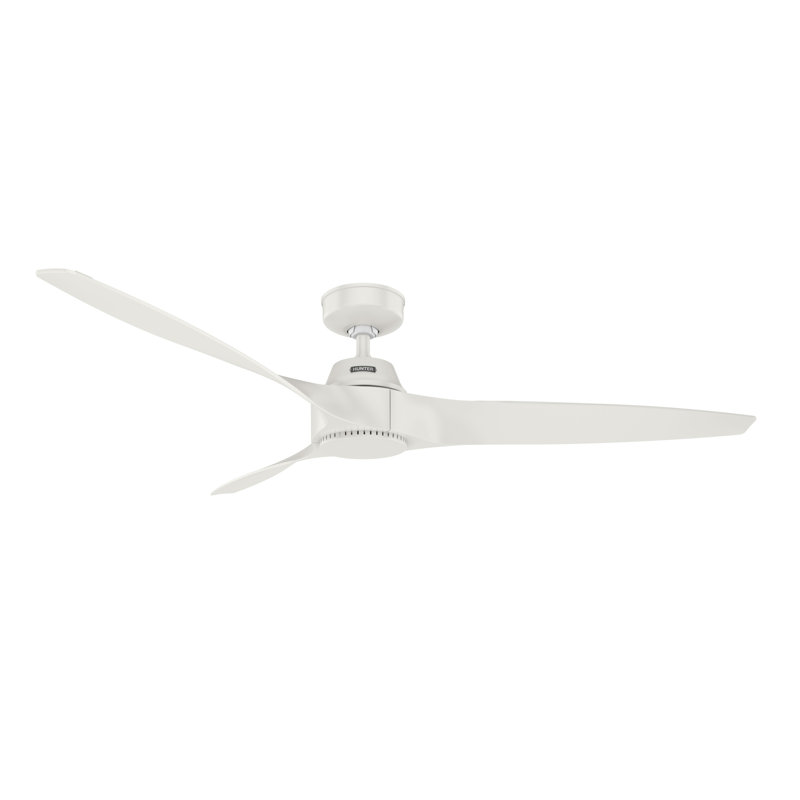 60 inch Mosley ENERGY STAR® Damp Rated Ceiling Fan and Wall Control, White, White