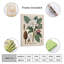 «Magnolia Botanical Print», art mural encadré en bois 16 po x 20 po