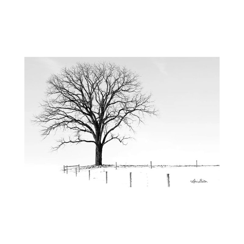Bare 1 Piece Wrapped Canvas Wall Art, 101.6 cm H x 66.04 cm W x 3.175 cm D