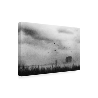 Art mural sur toile tendue - Nicoleta Gabor, art mural «Late visiteurs» pour le salon, la chambre à coucher ou le bureau - 22 x 32