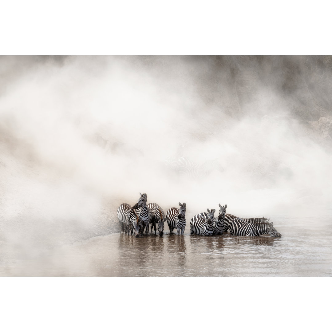 Leinwandbild Zebra Drinking in the Mara