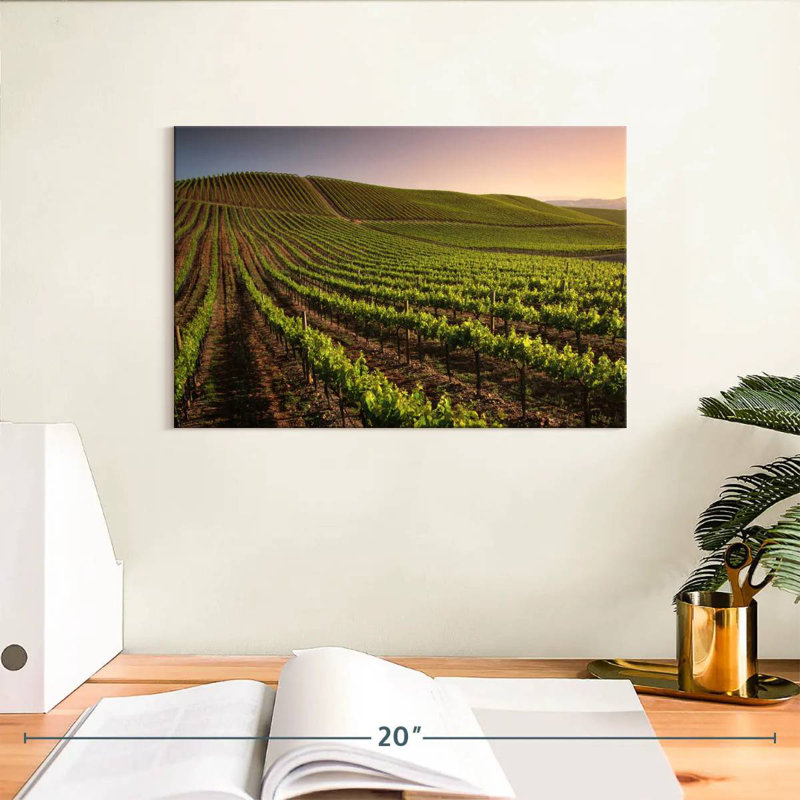 Alvord Carneros Winery