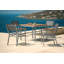 Equinox Dining Armchair-1517673177